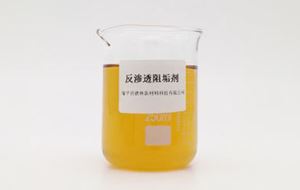 反滲透阻垢劑如何在反滲透系統中發揮作用