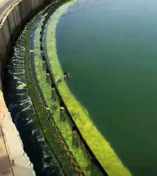 QQ圖片20230221103441